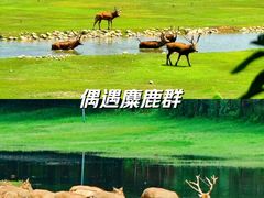 -南海子公园