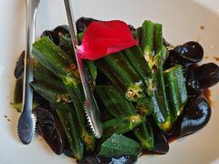 -海派美食·家宴海鲜青岛菜·石锅鲽鱼头(东方城店)