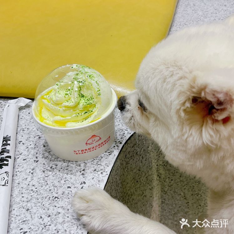 封控前qianqian的小桃啊[调皮]下次带着桑葚回来哦