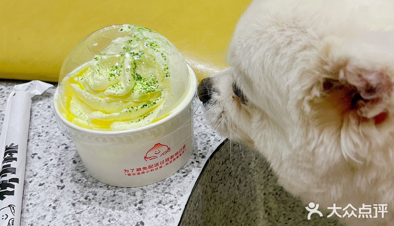 封控前qianqian的小桃啊[调皮]下次带着桑葚回来哦