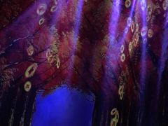 -仪雅阁·泡浴SPA养生馆