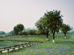 -汉长安城未央宫国家考古遗址公园