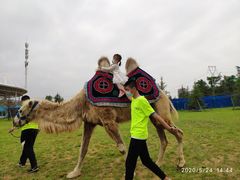 -华夏文旅海洋公园