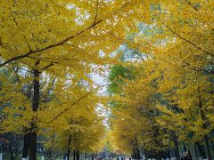 -长白岛森林公园