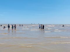 -碧海金沙