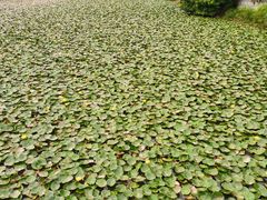 -南国桃园旅游度假区