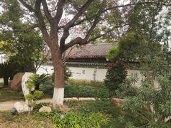 -丝绸小镇荻港古村
