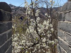 -黄花城水长城旅游区
