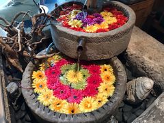 -中8楼风尚云南菜(颐堤港店)