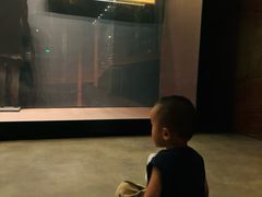 -盘龙城遗址博物院