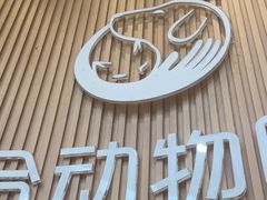 -联合动物医院(光谷诊疗中心)