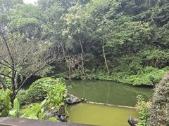 -杭州西湖风景名胜区-三生石
