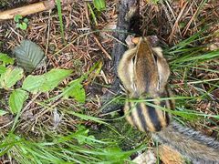 -长白山万达锦华套房酒店