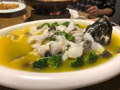酸汤龙胆鱼-新悦·霞浦海鲜生(上下杭店)