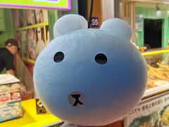-锦江乐园舞狸花花游园会(夜场专享)