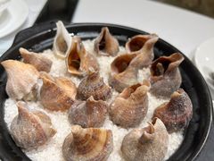 盐焗海螺-勝記酒家·37年老字号·经典粤菜(荔枝公园店)