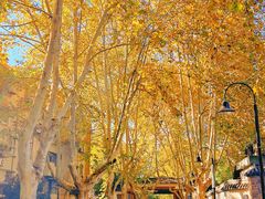 -杭州半山国家森林公园