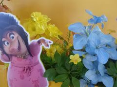 -寰映影城(朝阳合生汇杜比影院店)