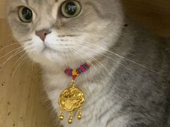 -南京商厦
