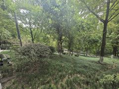 -龙头寺公园