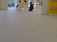 -勇气斑马·巴西柔术&跆拳道(浦东三林店)