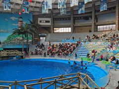 -海合安成都极地海洋公园