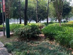 -光明港公园