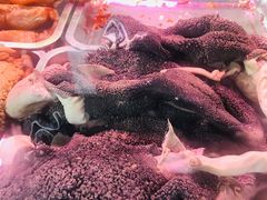 -洪记白水羊头(天坛店)