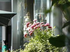 -街角 T·COFFEE 融合料理·BISTRO(车公庙店)