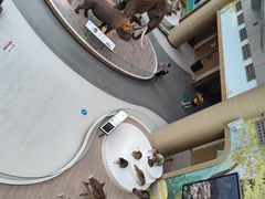 -陕西自然博物馆