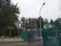 -三里屯东五街银杏大道