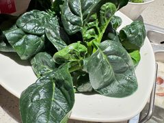 -海底捞火锅(漫广场店)