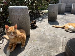 -敬亭山风景名胜区