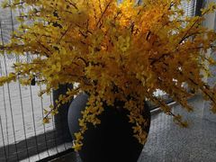 -花城粤菜餐厅(高新区店)