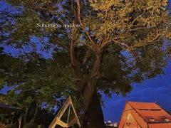 -Supine Bistro溯泮餐厅