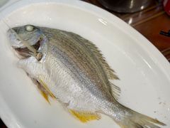 -长平肥姐白粥·海鲜打冷