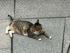 -宝通禅寺
