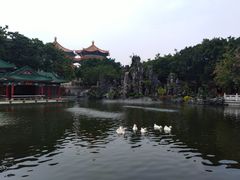 -广东圆玄道观