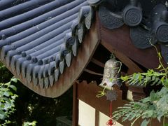 -上海佘山国家森林公园西佘山园