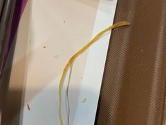 -魏家凉皮(祈年大厦店)