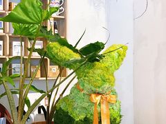 -PlantsEatery·植物食堂(REX春熙店)