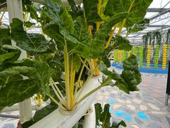 -兴芮温泉度假区