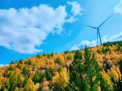 -塞罕坝国家级自然保护区