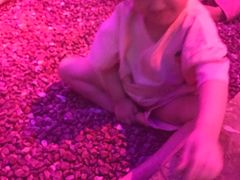 -水晶之星洗浴温泉汗蒸