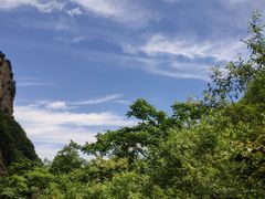 -青峰峡国家森林公园