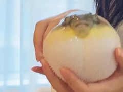 -肆月河豚·淮扬菜·湘菜(华天店)