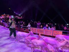 -广州长隆国际大马戏