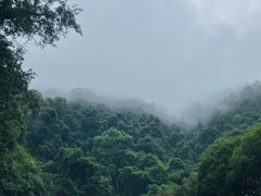 -龙颈河漂流