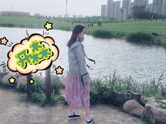 -合肥滨湖国家森林公园