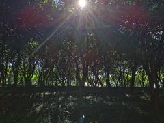 -天河儿童公园